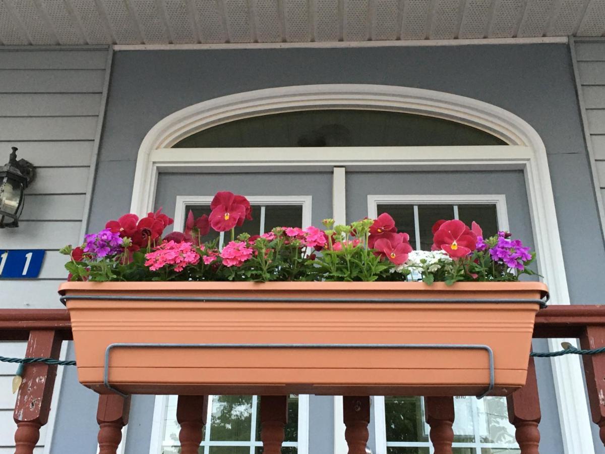 Harmony B&B And Suites Digby Exterior foto