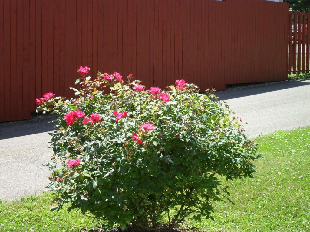 Harmony B&B And Suites Digby Exterior foto